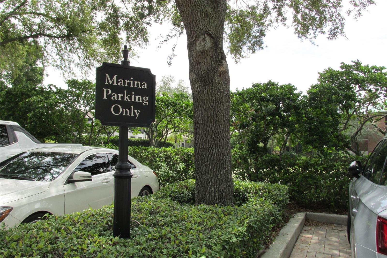 0 SEDDON COVE WAY #4, Unit 4 - Photo 5